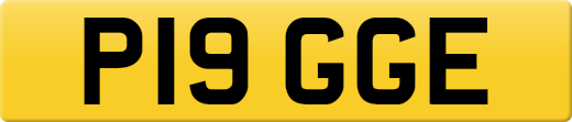 P19GGE