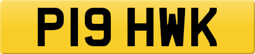 P19HWK