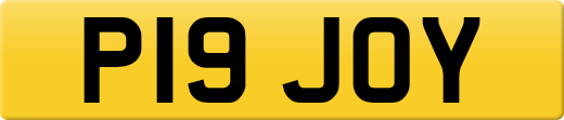 P19JOY