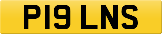 P19LNS