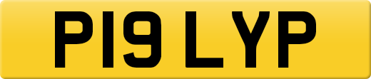 P19LYP
