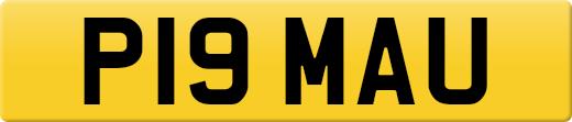 P19MAU