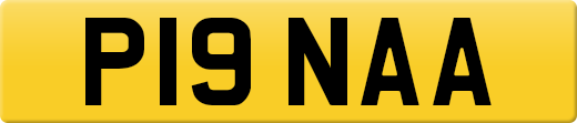 P19NAA