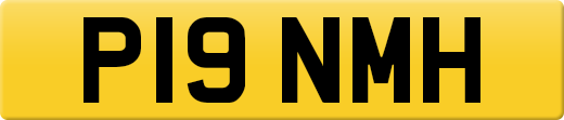 P19NMH