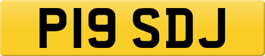 P19SDJ