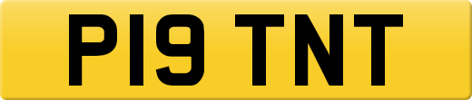 P19TNT