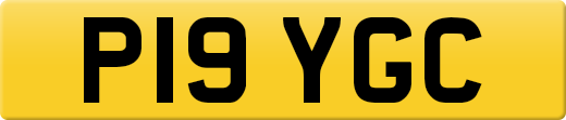 P19YGC