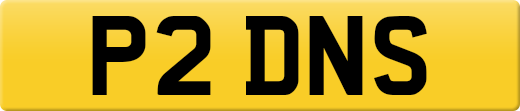 P2DNS