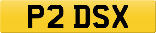 P2DSX
