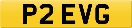 P2EVG