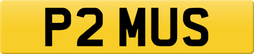 P2MUS
