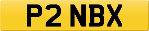 P2NBX