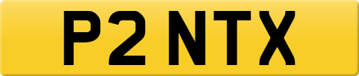 P2NTX