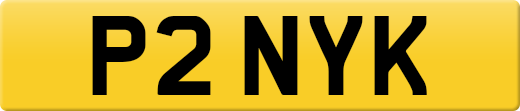 P2NYK