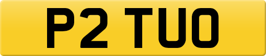 P2TUO