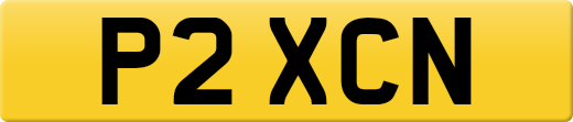 P2XCN