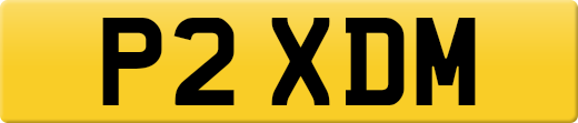 P2XDM