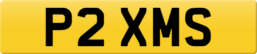 P2XMS