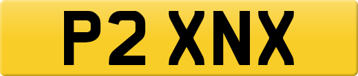 P2XNX