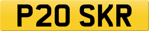 P20SKR