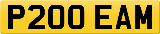 P200EAM