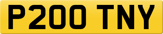 P200TNY