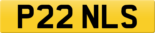 P22NLS