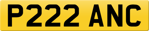 P222ANC