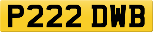P222DWB