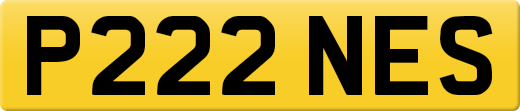 P222NES