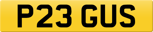 P23GUS
