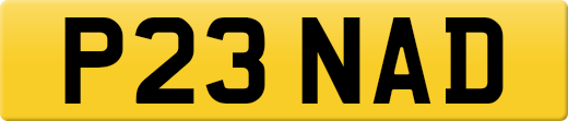 P23NAD