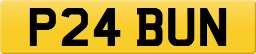 P24BUN