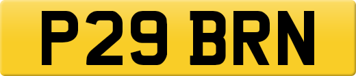 P29BRN