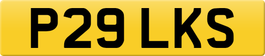 P29LKS
