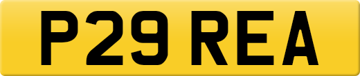 P29REA