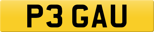 P3GAU