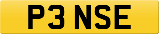 P3NSE