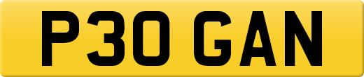 P30GAN