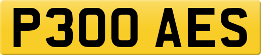 P300AES