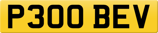 P300BEV