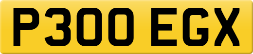 P300EGX