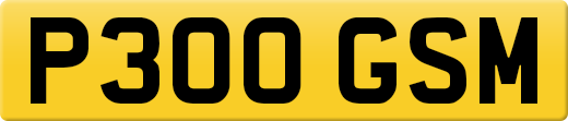 P300GSM