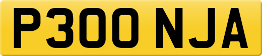 P300NJA