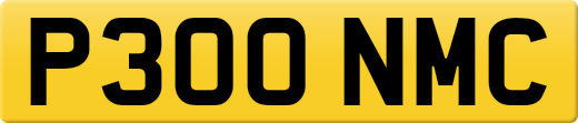 P300NMC