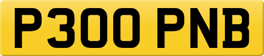 P300PNB