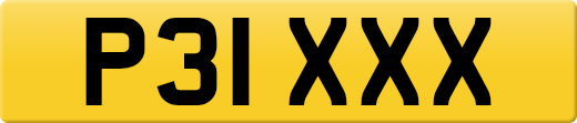 P31XXX
