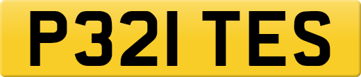 P321TES
