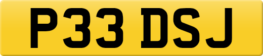 P33DSJ
