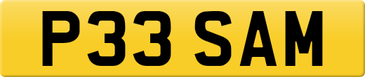 P33SAM